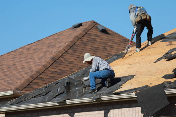 Roof Coating Services in Chinchilla, PA