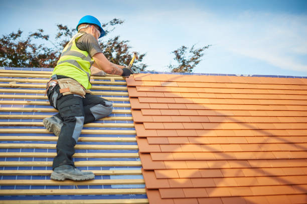 Metal Roofing in Chinchilla, PA